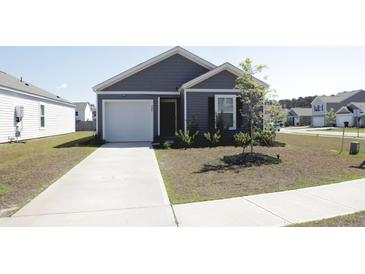 Charming single-Gathering home with a well-manicured lawn and a cozy front porch at 224 Coral Sunset Way, Summerville, SC 29486