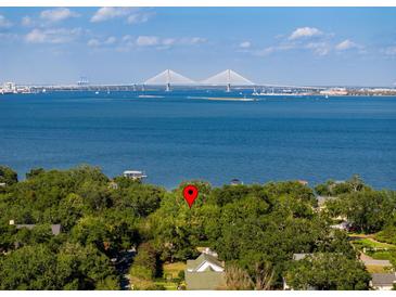 Expansive water view featuring a bridge from an aerial perspective of a lush green property at 528 Wampler Dr, Charleston, SC 29412