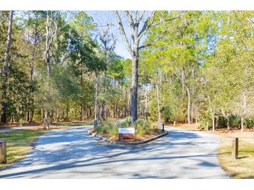 View of the entrance to The Preserve community, surrounded by lush greenery and mature trees at 1519 John Fenwick Ln, Johns Island, SC 29455
