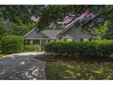 Charming single story home with beautiful landscaping and a lush tree shading the yard and long driveway at 1250 Wide Water Ct, Charleston, SC 29412