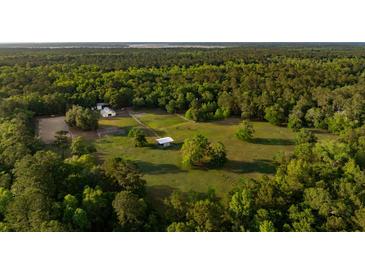 Expansive horse property featuring paddocks, stables and a barn nestled among mature trees at 5348 Mccullough Dam Rd, Wadmalaw Island, SC 29487