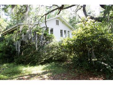 Charming home exterior surrounded by lush greenery and mature trees, creating a private oasis at 2180 Wappoo Hall Rd, Charleston, SC 29412