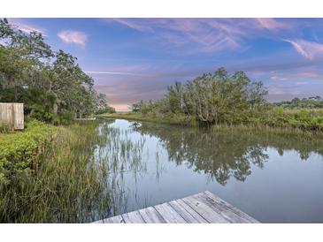 Picturesque waterfront view with lush vegetation, featuring a private dock and tranquil waterway at 1673 Mcclain St, Charleston, SC 29407