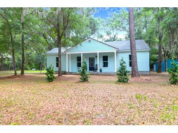 Inviting light blue home with covered porch, lush landscaping, and inviting curb appeal at 5233 Maybank Hwy, Wadmalaw Island, SC 29487