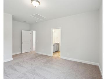 Spacious bedroom featuring neutral carpet, walk-in closet, ensuite bathroom, and natural light at 735 Breakers Reef Ln, Huger, SC 29450