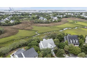 Expansive aerial view of a home nestled among lush greenery and a scenic marshland landscape at 228 Beresford Creek St, Charleston, SC 29492