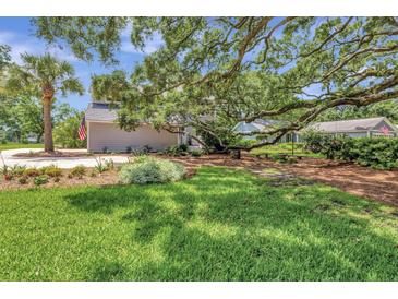 Charming home featuring lush green lawn, mature trees, and an inviting curb appeal at 1199 Parkway Drive, Mount Pleasant, SC 29464