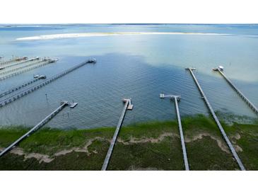 Stunning aerial view showcasing multiple private docks extending into the waterway, perfect for boating enthusiasts at 320 Morrison Street, Mount Pleasant, SC 29464