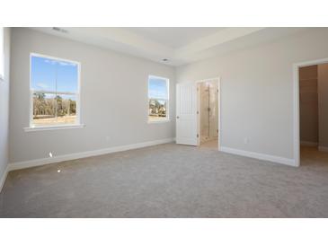 A carpeted primary bedroom with natural light has an ensuite bathroom with a tiled stand-up shower at 100 Claret Cup Way, Charleston, SC 29414