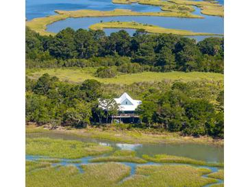 Aerial view of a charming waterfront home nestled amidst lush greenery with stunning marsh views at 226 Old House Ln, Dewees Island, SC 29451