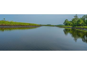 Scenic water view of a calm river surrounded by lush green landscape at 1529 Foster Creek Rd, Hanahan, SC 29410