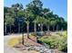 Street view of the property with lush landscaping, mature trees, and neighborhood signage at 1075 Capersview Ct, Awendaw, SC 29429