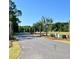 Street view of community with landscaped lawn and mature trees at 1075 Capersview Ct, Awendaw, SC 29429