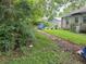 Overgrown backyard with a walkway and partially visible house at 1908 Savage Rd, Charleston, SC 29407