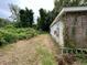Side yard of house showing overgrown vegetation at 1908 Savage Rd, Charleston, SC 29407