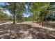 Round riding ring surrounded by trees at 175 Maria Stuart Ln, Varnville, SC 29944