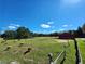 Pasture with sheep and a red barn under a sunny sky at 1501 Central Ave, Summerville, SC 29483