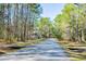 Scenic street view leading to a charming two-story home surrounded by lush trees at 1619 Zurlo Way, Johns Island, SC 29455