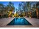 Luxury pool with stone patio and lush landscaping at 633 Barbados Dr, Charleston, SC 29492