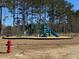 Community playground with slides and climbing equipment for outdoor recreation and Gathering fun at 127 Winding Grove Ln, Moncks Corner, SC 29461