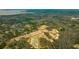 An aerial view of a Primary-planned community shows new home construction nestled among green trees and a large lake at 132 Morning View Way, Moncks Corner, SC 29461