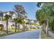 Street lined with charming houses and palm trees at 1636 Siloh St # 478, Mount Pleasant, SC 29466