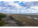 Scenic marsh views with cloudy skies at 1636 Siloh St # 478, Mount Pleasant, SC 29466