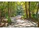 Peaceful nature trail through lush trees and vegetation at 1636 Siloh St # 478, Mount Pleasant, SC 29466