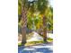 Lush palm trees lining a sidewalk in a neighborhood at 1636 Siloh St # 478, Mount Pleasant, SC 29466