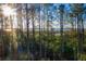 Lush pine trees and scenic marsh views at 1636 Siloh St # 478, Mount Pleasant, SC 29466