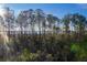 Lush pine trees and scenic marsh views at 1636 Siloh St # 478, Mount Pleasant, SC 29466