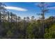 Lush pine trees and scenic marsh views at 1636 Siloh St # 478, Mount Pleasant, SC 29466