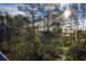 Lush pine trees and scenic marsh views at 1636 Siloh St # 478, Mount Pleasant, SC 29466