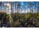 Lush pine trees and scenic marsh views at 1636 Siloh St # 478, Mount Pleasant, SC 29466