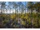 Lush pine trees and scenic marsh views at 1636 Siloh St # 478, Mount Pleasant, SC 29466