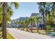Charming street with houses, palm trees, and landscaping at 1636 Siloh St # 478, Mount Pleasant, SC 29466