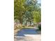 Serene walking path with a tree swing under large trees at 1636 Siloh St # 478, Mount Pleasant, SC 29466