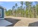 Spacious backyard with lawn, trees, and patio at 371 Wappoo Trace Ln, Summerville, SC 29486