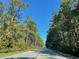 Long road lined with tall trees on both sides under a clear sky at 517 Rendezvous Way, Huger, SC 29450