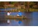 Leisurely lake scene with two fisherman enjoying a quiet day on the water at 704 Maynard Ln, Summerville, SC 29486