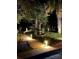 Beautiful backyard landscape with manicured lawn, garden decor, and illuminated walkway at 1374 Black River Dr, Mount Pleasant, SC 29466