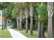 Walkway lined with palm trees near a residential area at 1686 Cultivation Ln # 544, Mount Pleasant, SC 29466