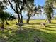 Inviting backyard with a bird bath and relaxing chair, perfect for enjoying the tranquil natural surroundings at 8272 Palmetto Rd, Edisto Island, SC 29438