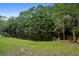 Scenic pond surrounded by lush, green trees and well-manicured lawn at 8272 Palmetto Rd, Edisto Island, SC 29438