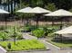 Landscaped garden with various plants and shade umbrellas at 769 Bulls Bay Blvd, Awendaw, SC 29429