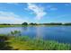 Serene lake view with lush greenery and golf course in background at 769 Bulls Bay Blvd, Awendaw, SC 29429