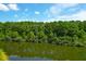Tranquil pond with lush green trees at 769 Bulls Bay Blvd, Awendaw, SC 29429