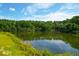 Serene pond reflecting lush trees at 769 Bulls Bay Blvd, Awendaw, SC 29429