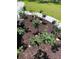 Stunning rose garden with various colors of roses at 769 Bulls Bay Blvd, Awendaw, SC 29429
