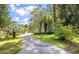 Long gravel driveway leading to a home surrounded by lush trees and greenery at 2991 Blackfish Rd, Johns Island, SC 29455